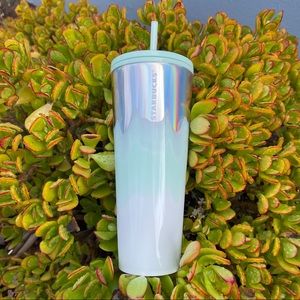 Starbucks NWT 2021 Holiday Limited Edition Light Green Iridescent Ombré- 24oz